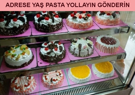 Tokat Zile Adrese ya� pasta yolla g�nder