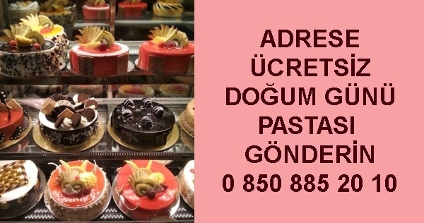 Tokat Zile adrese teslim do�um g�n� ya� pastas�