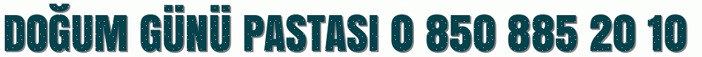 Tokat Zile Do�um g�n� pastas� sipari�i 0 850 885 20 10