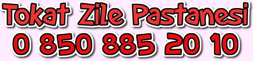 Tokat Zile do�um g�n� ya� pasta sipari�i ver adrese hediye pasta g�nder pasta fiyat�
